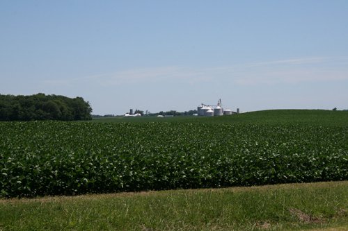 Property photo 20 - 724 +/- Acres Offered in 8 Tracts - Session A