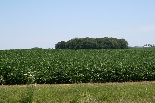 Property photo 15 - 724 +/- Acres Offered in 8 Tracts - Session A