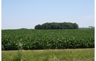 Property photo 15 - 724 +/- Acres Offered in 8 Tracts - Session A