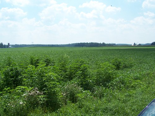 Property photo 15 - 724+/- Acres Offered in 8 Tracts - Session B