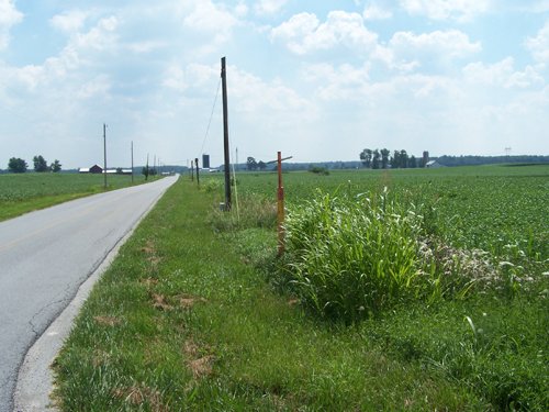 Property photo 17 - 724+/- Acres Offered in 8 Tracts - Session B