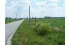 Property photo 17 - 724+/- Acres Offered in 8 Tracts - Session B