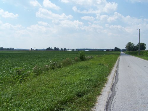 Property photo 3 - 724+/- Acres Offered in 8 Tracts - Session B