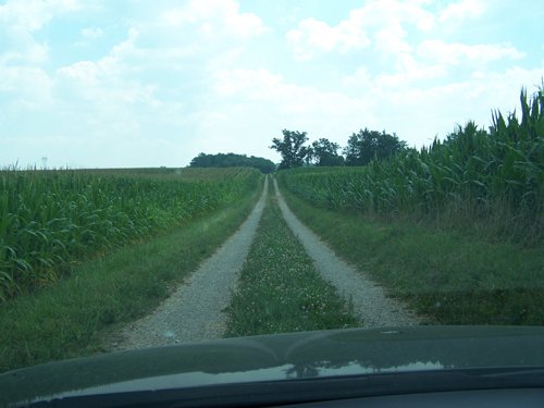 Property photo 2 - 724+/- Acres Offered in 8 Tracts - Session B