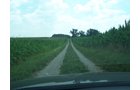 Property photo 2 - 724+/- Acres Offered in 8 Tracts - Session B