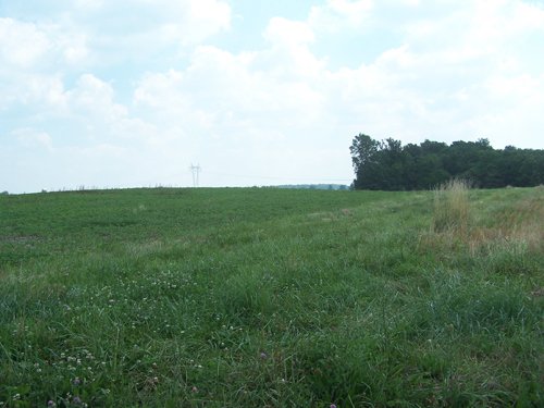 Property photo 22 - 724+/- Acres Offered in 8 Tracts - Session B