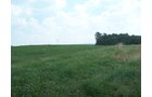Property photo 22 - 724+/- Acres Offered in 8 Tracts - Session B