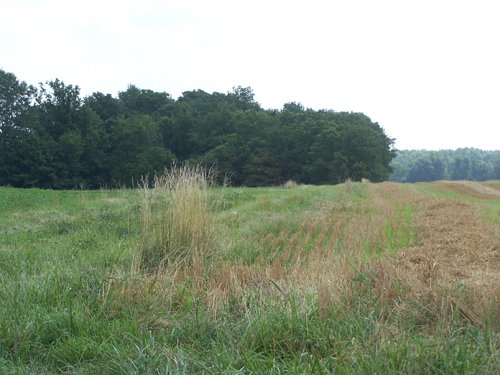 Property photo 16 - 724+/- Acres Offered in 8 Tracts - Session B