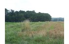 Property photo 16 - 724+/- Acres Offered in 8 Tracts - Session B
