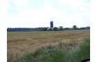 Property photo 19 - 724+/- Acres Offered in 8 Tracts - Session B