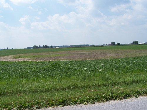 Property photo 9 - 724+/- Acres Offered in 8 Tracts - Session B
