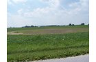 Property photo 9 - 724+/- Acres Offered in 8 Tracts - Session B