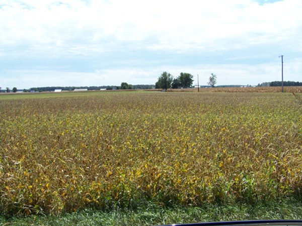 724+/- Acres Offered in 8 Tracts - Session B