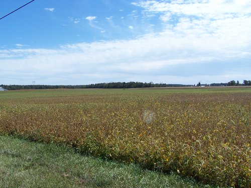 Property photo 21 - 724+/- Acres Offered in 8 Tracts - Session B