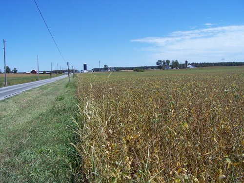 Property photo 20 - 724+/- Acres Offered in 8 Tracts - Session B