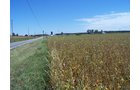 Property photo 20 - 724+/- Acres Offered in 8 Tracts - Session B