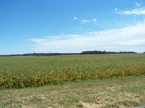 Property photo 18 - 724+/- Acres Offered in 8 Tracts - Session B