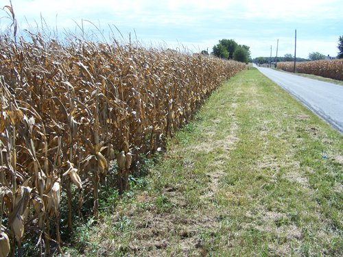 Property photo 6 - 724+/- Acres Offered in 8 Tracts - Session B