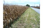 Property photo 6 - 724+/- Acres Offered in 8 Tracts - Session B
