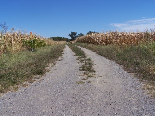 Property photo 11 - 724+/- Acres Offered in 8 Tracts - Session B