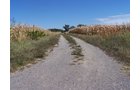 Property photo 11 - 724+/- Acres Offered in 8 Tracts - Session B