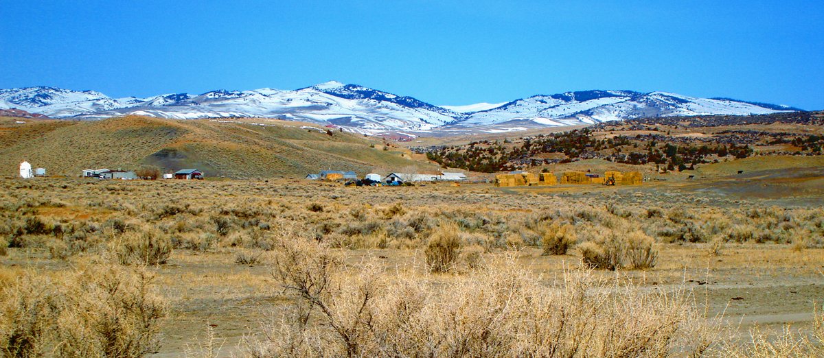 Property photo 11 - 92,312+/- Acres Offered in 14 Tracts