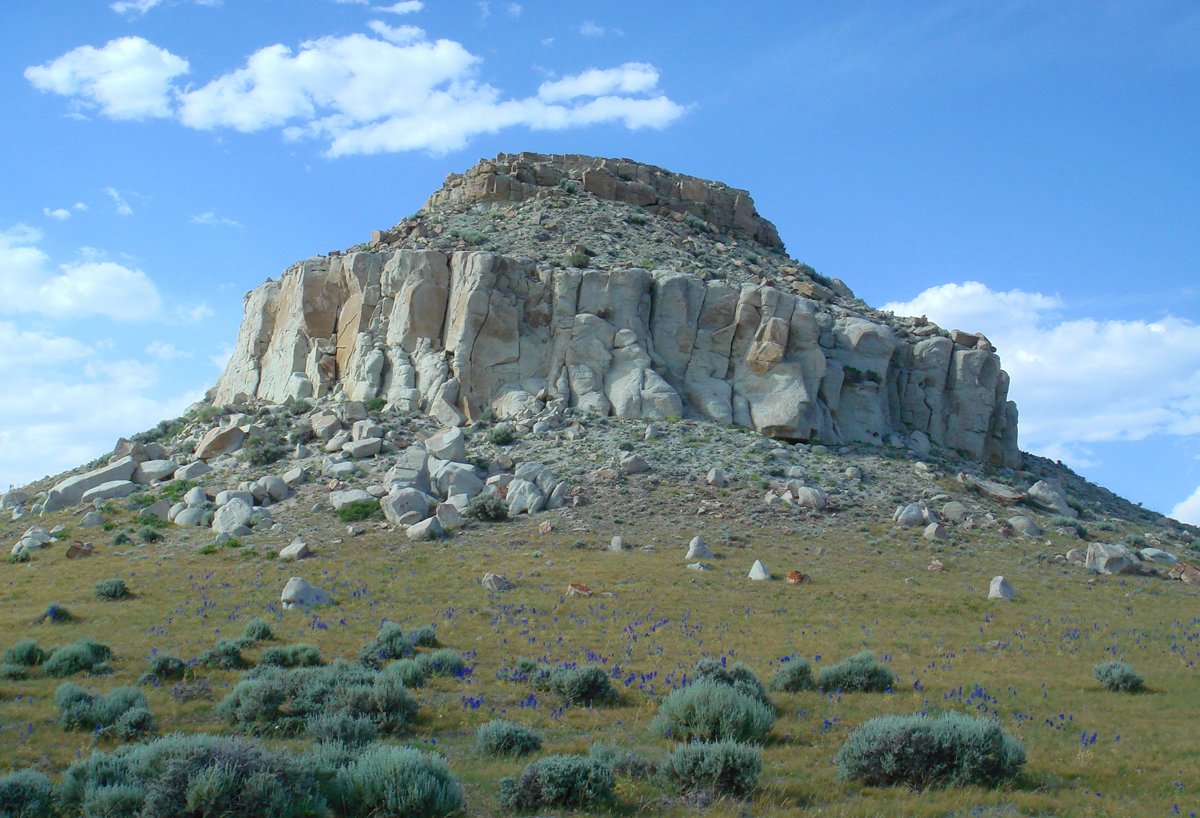 Property photo 10 - 92,312+/- Acres Offered in 14 Tracts