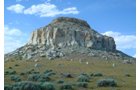 Property photo 10 - 92,312+/- Acres Offered in 14 Tracts