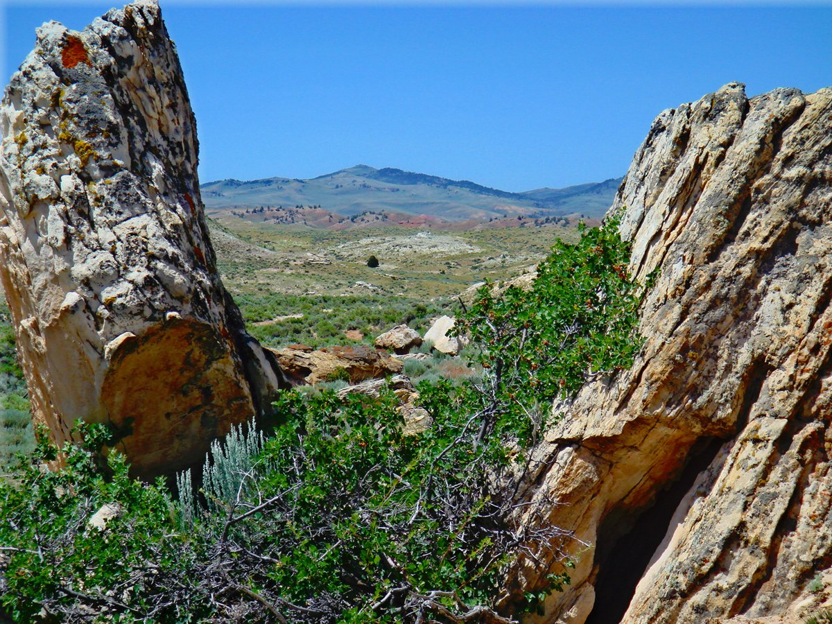 Property photo 21 - 92,312+/- Acres Offered in 14 Tracts