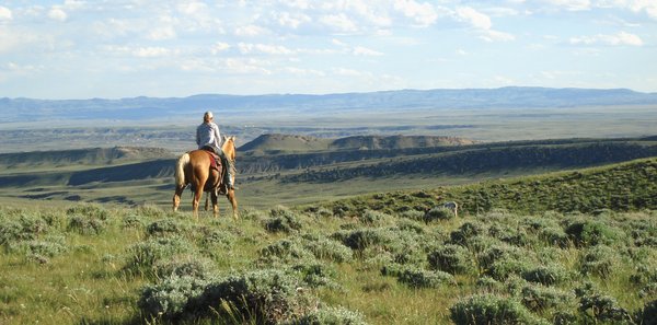 92,312+/- Acres Offered in 14 Tracts