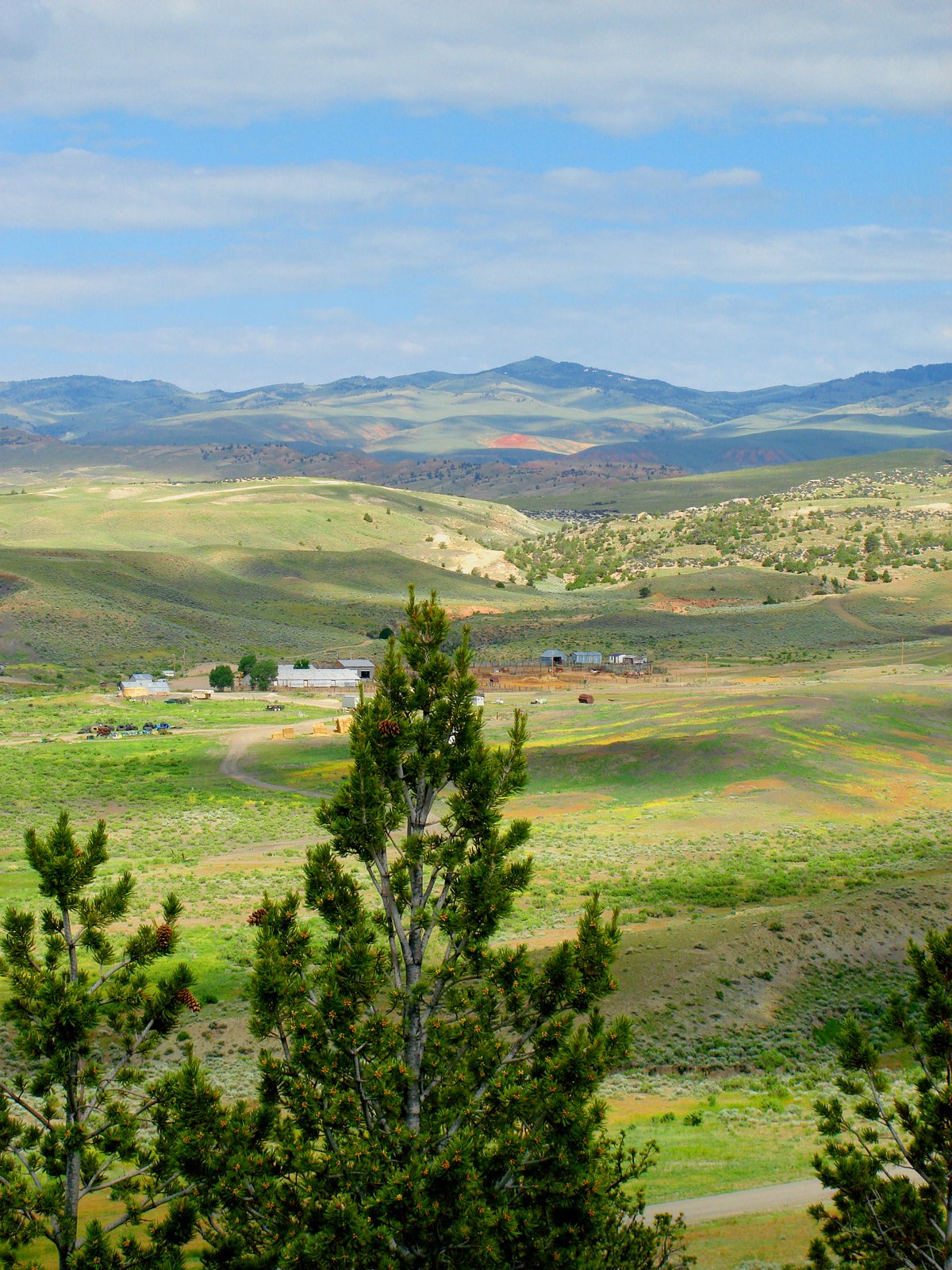 Property photo 30 - 92,312+/- Acres Offered in 14 Tracts