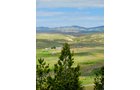 Property photo 30 - 92,312+/- Acres Offered in 14 Tracts