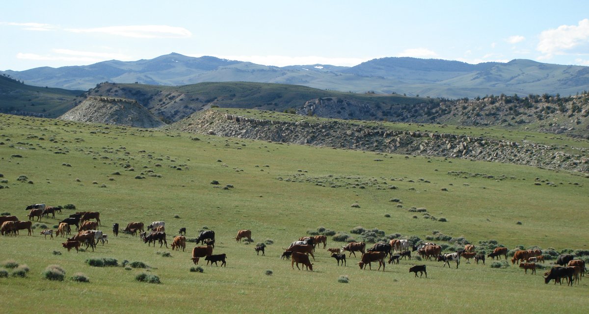 Property photo 28 - 92,312+/- Acres Offered in 14 Tracts