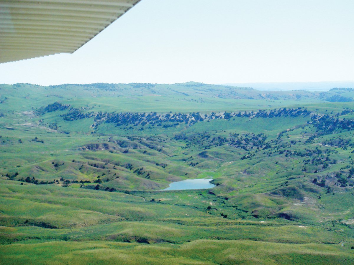 Property photo 7 - 92,312+/- Acres Offered in 14 Tracts