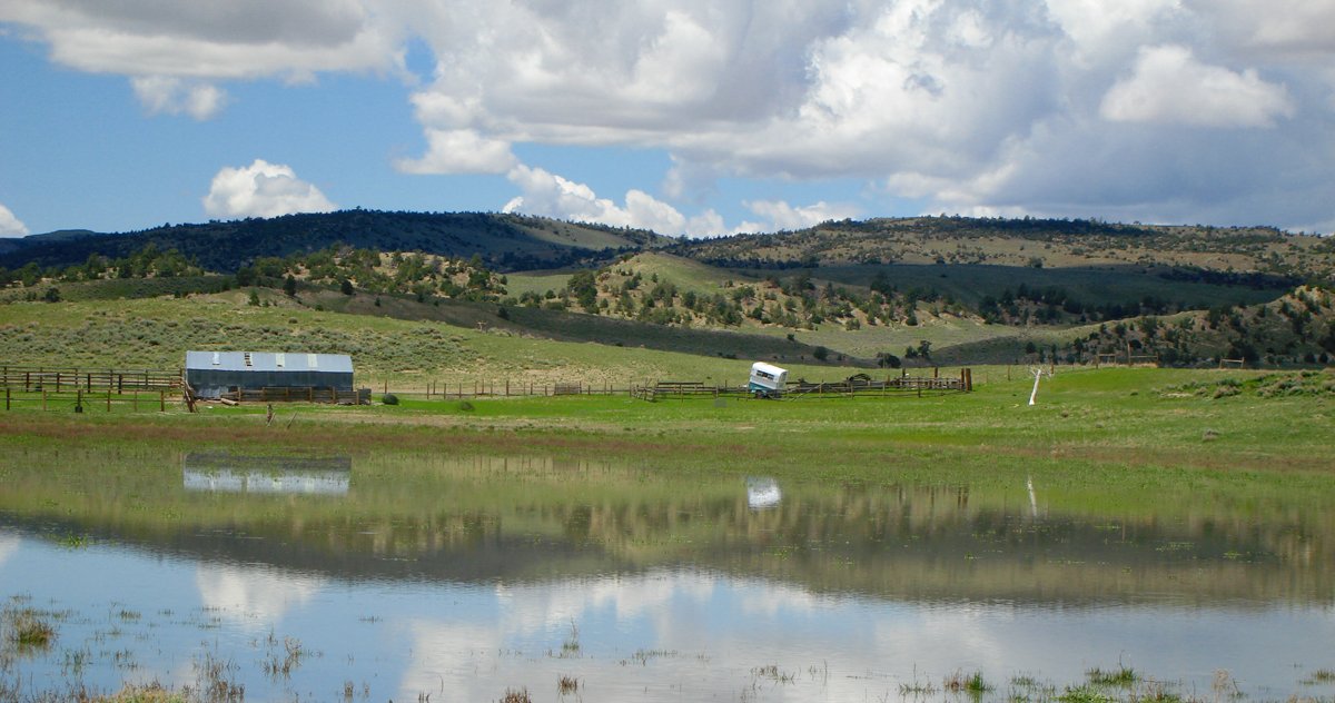 Property photo 5 - 92,312+/- Acres Offered in 14 Tracts