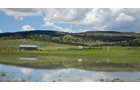Property photo 5 - 92,312+/- Acres Offered in 14 Tracts