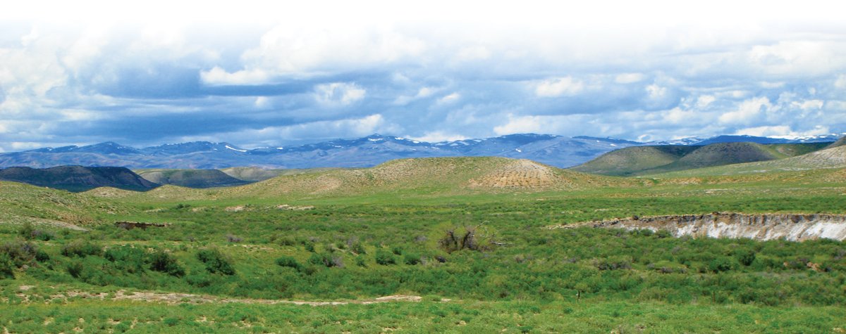 Property photo 31 - 92,312+/- Acres Offered in 14 Tracts