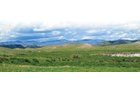 Property photo 31 - 92,312+/- Acres Offered in 14 Tracts