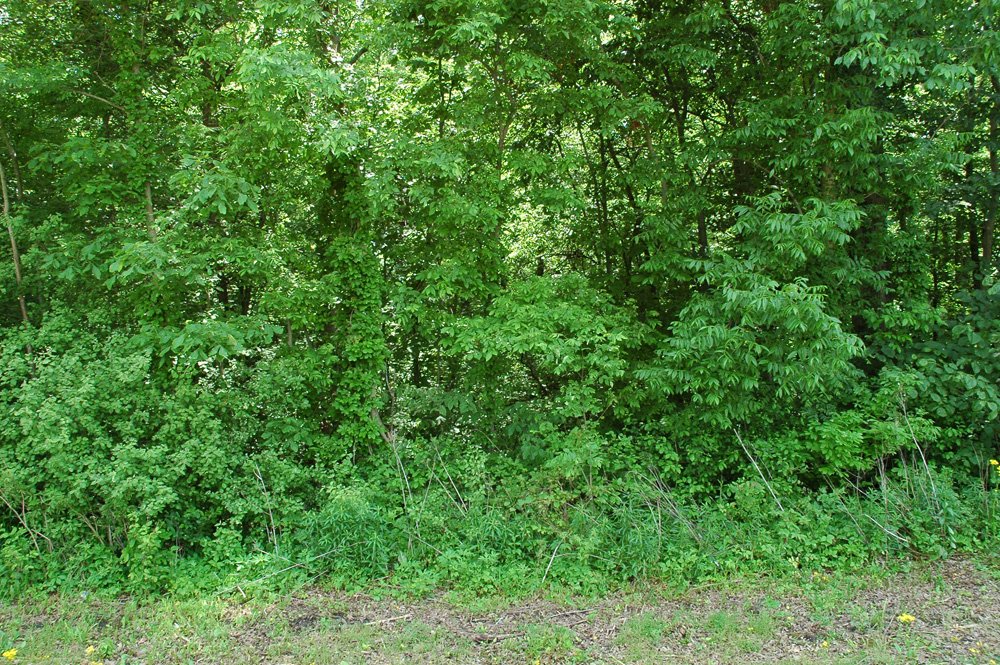 Property photo 13 - Fundenberger Farms Land Auction, 734+/- Acres, 692 Tillable, 12 Tracts