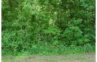 Property photo 13 - Fundenberger Farms Land Auction, 734+/- Acres, 692 Tillable, 12 Tracts