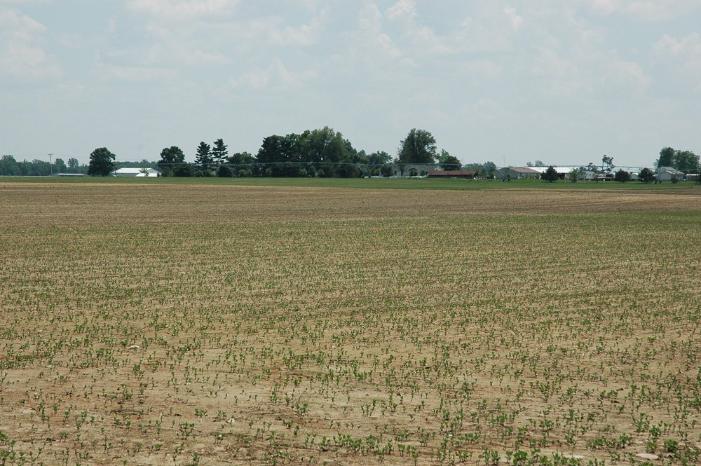 Property photo 60 - Fundenberger Farms Land Auction, 734+/- Acres, 692 Tillable, 12 Tracts