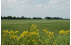 Property photo 6 - Fundenberger Farms Land Auction, 734+/- Acres, 692 Tillable, 12 Tracts