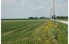Property photo 1 - Fundenberger Farms Land Auction, 734+/- Acres, 692 Tillable, 12 Tracts