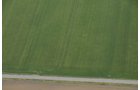 Property photo 25 - Fundenberger Farms Land Auction, 734+/- Acres, 692 Tillable, 12 Tracts