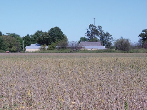 Property photo 8 - 57 Acres Offered in 3 Tracts