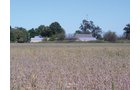 Property photo 8 - 57 Acres Offered in 3 Tracts