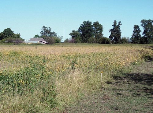 Property photo 9 - 57 Acres Offered in 3 Tracts