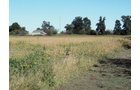 Property photo 9 - 57 Acres Offered in 3 Tracts