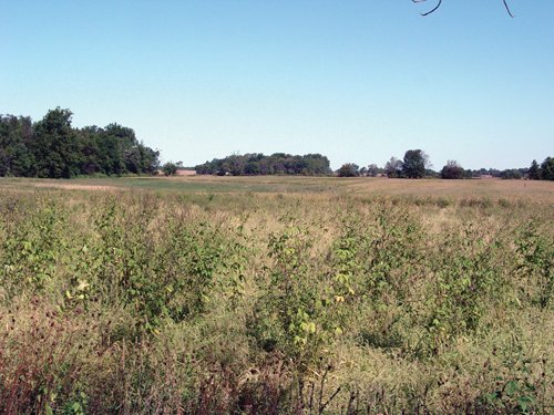Property photo 13 - 57 Acres Offered in 3 Tracts