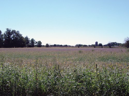 Property photo 3 - 57 Acres Offered in 3 Tracts